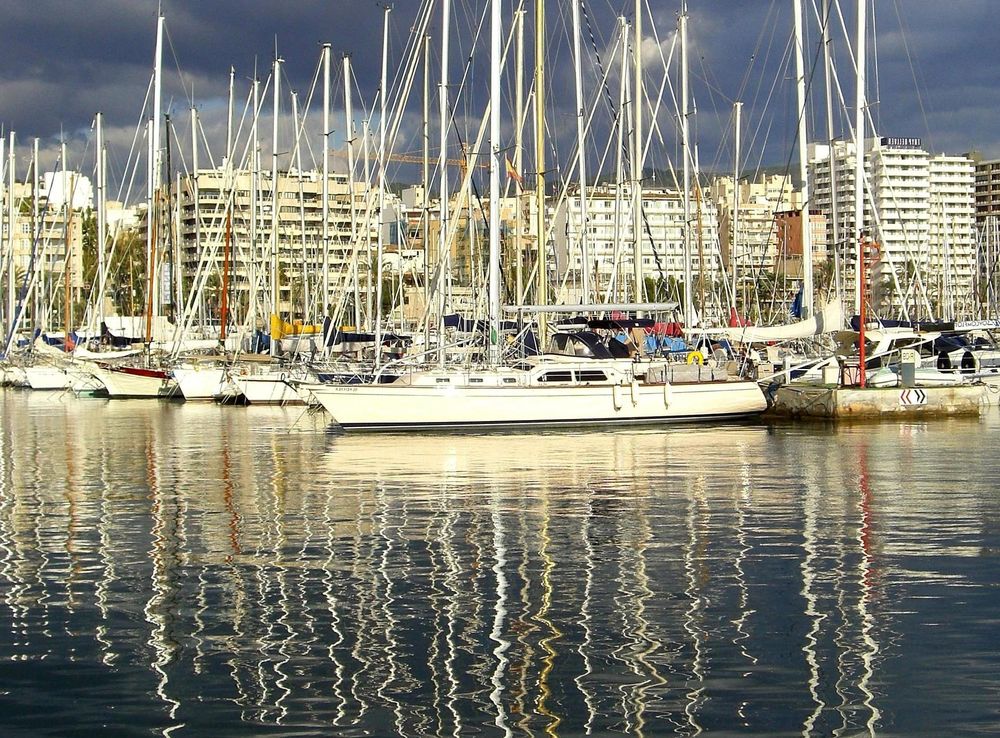 Free picture: water, marina, harbor, sea, yacht, pier, boat, dock,  waterfront, boats