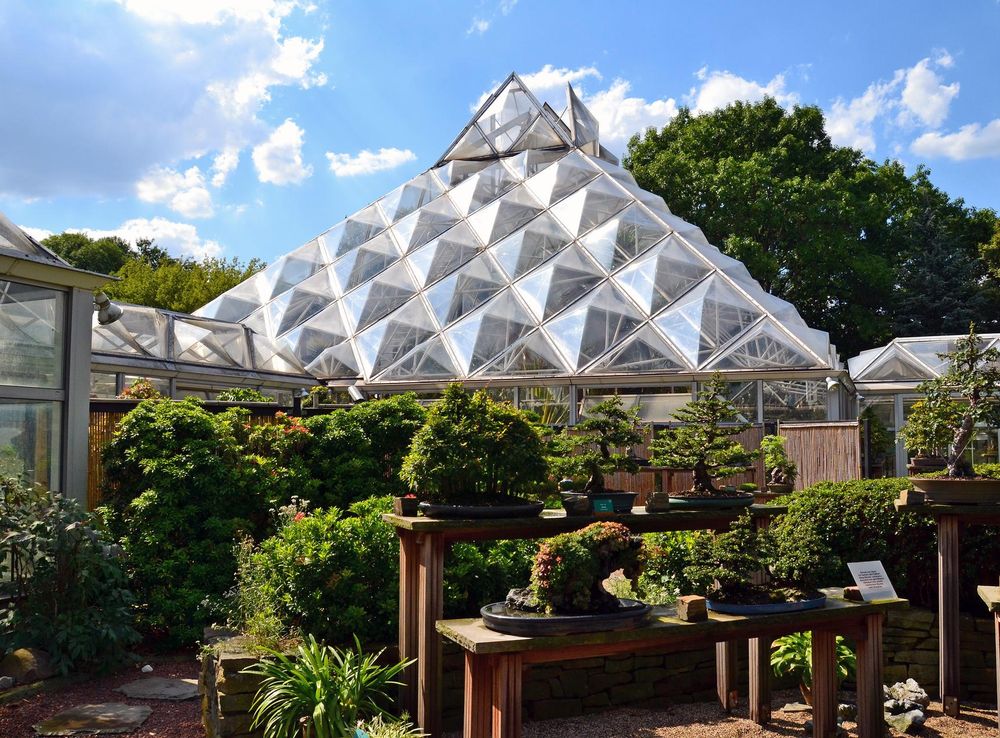 File:Bonsaigarten, Grugapark Essen.JPG - Wikimedia Commons