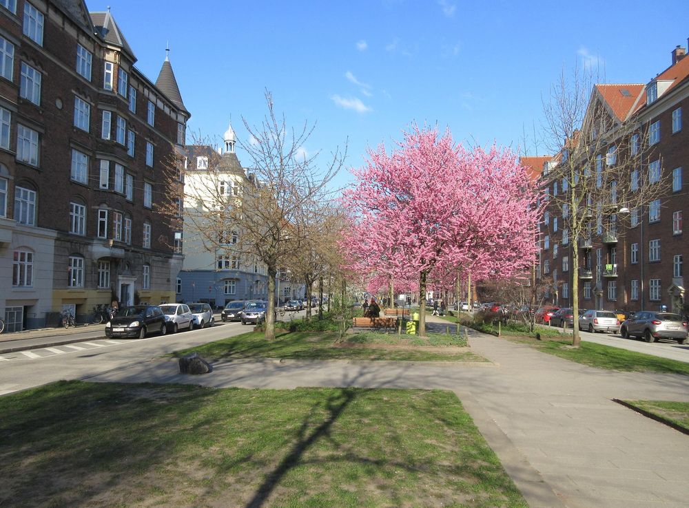 File:Sønder Boulevard 01.jpg - Wikipedia