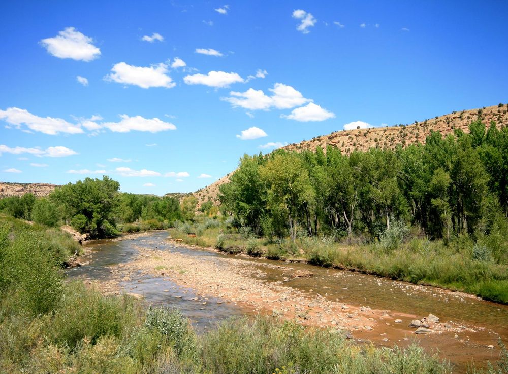 File:San Miguel River near Nucla Colorado...JPG - Wikimedia Commons