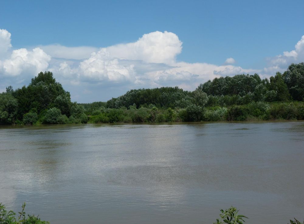 File:Tisza river - Szolnok, Hungary (11).JPG - Wikimedia Commons