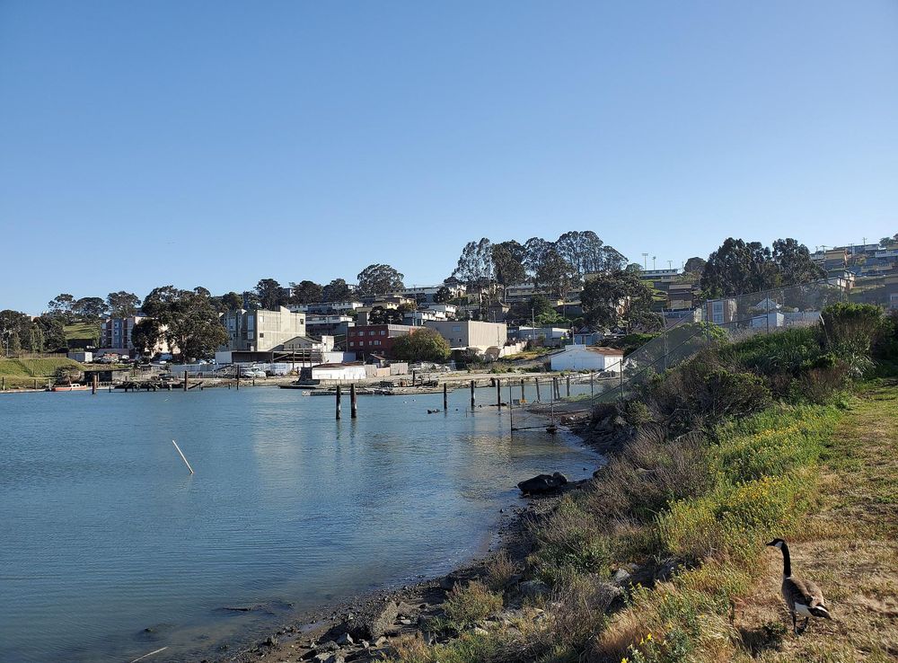 File:Hunter's Point from India Basin Shoreline Park, April 2021.jpg -  Wikimedia Commons