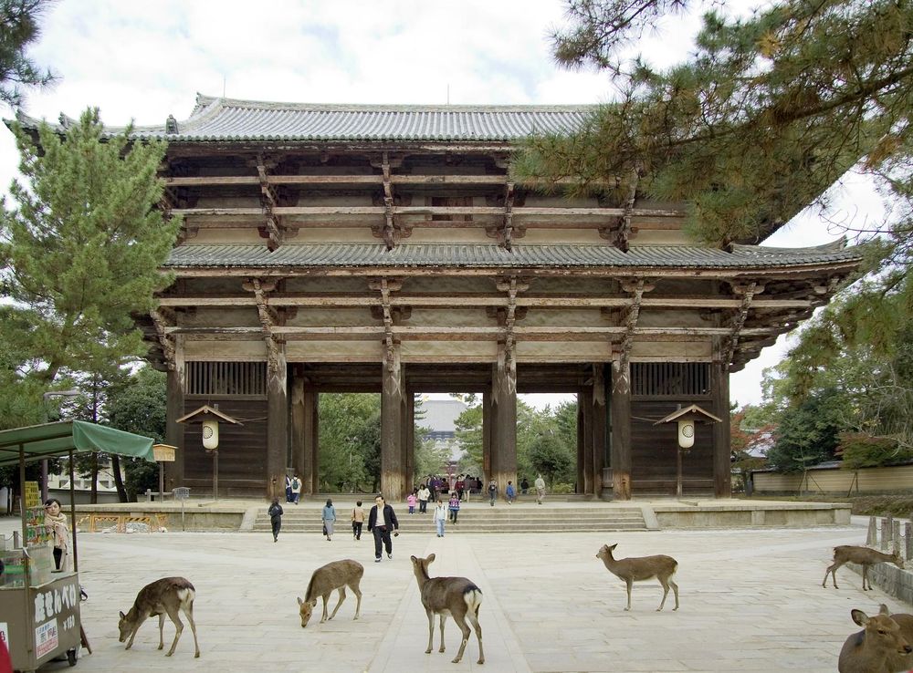 File:TodaijiNandaimon0185.jpg - Wikipedia