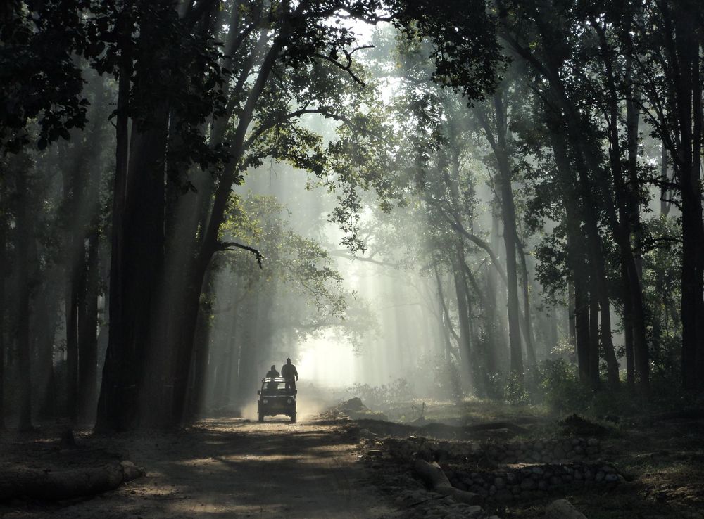 File:Jim Corbett National Park (India).jpg - Wikimedia Commons