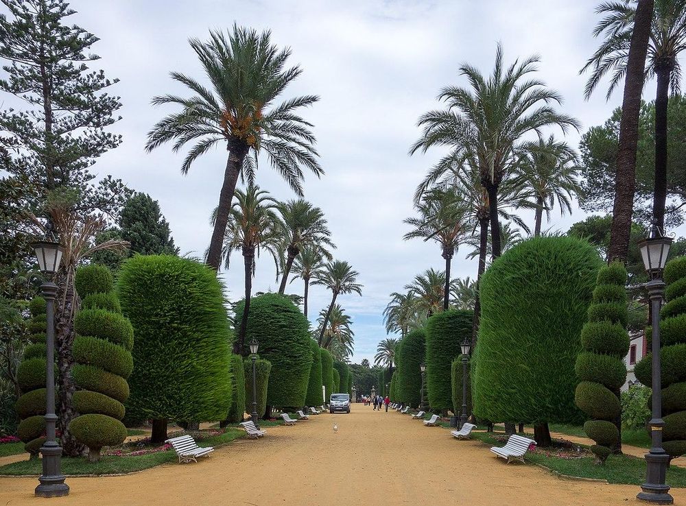File:Park Genoves - Cadiz, Spain - panoramio (1).jpg - Wikimedia Commons