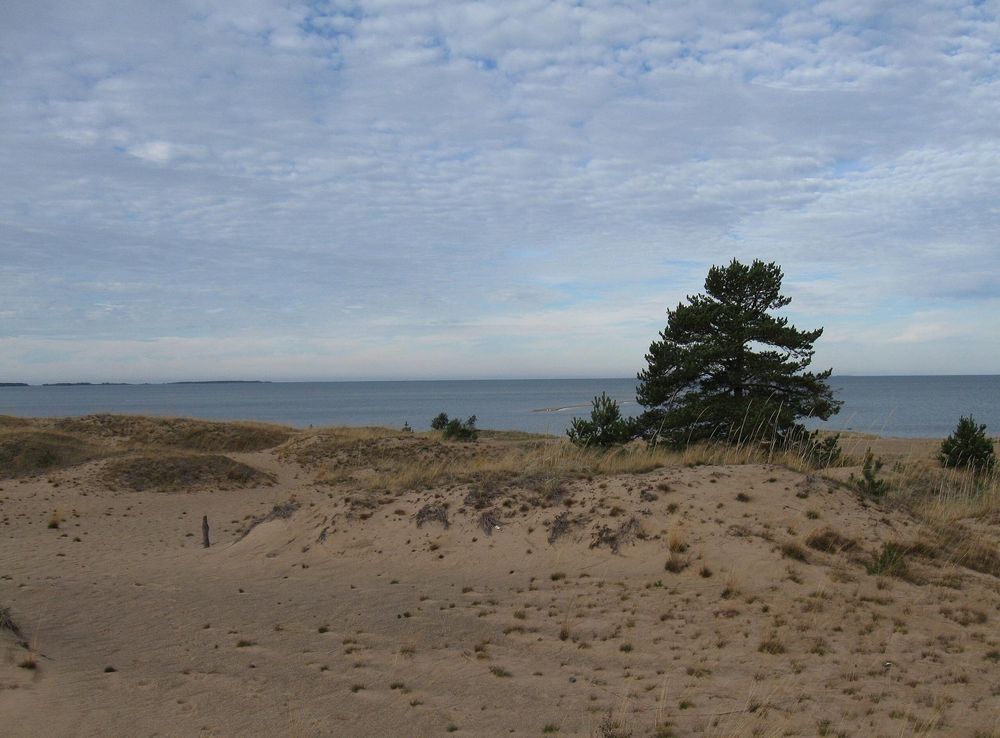 File:Kalajoki dunes.JPG - Wikimedia Commons