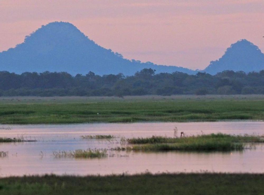 Ficheiro:Mount Gorongosa, Gorongosa National Park, Mozambique (cropped).jpg  – Wikipédia, a enciclopédia livre