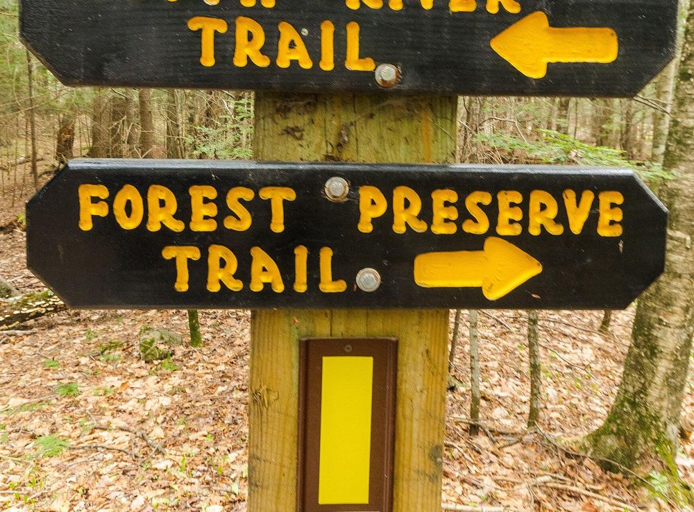 File:This A-Way or That A-Way.jpg - Wikimedia Commons