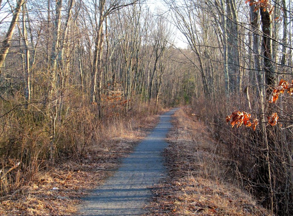 File:Whitney Spur Rail Trail, March 2014.JPG - Wikimedia Commons