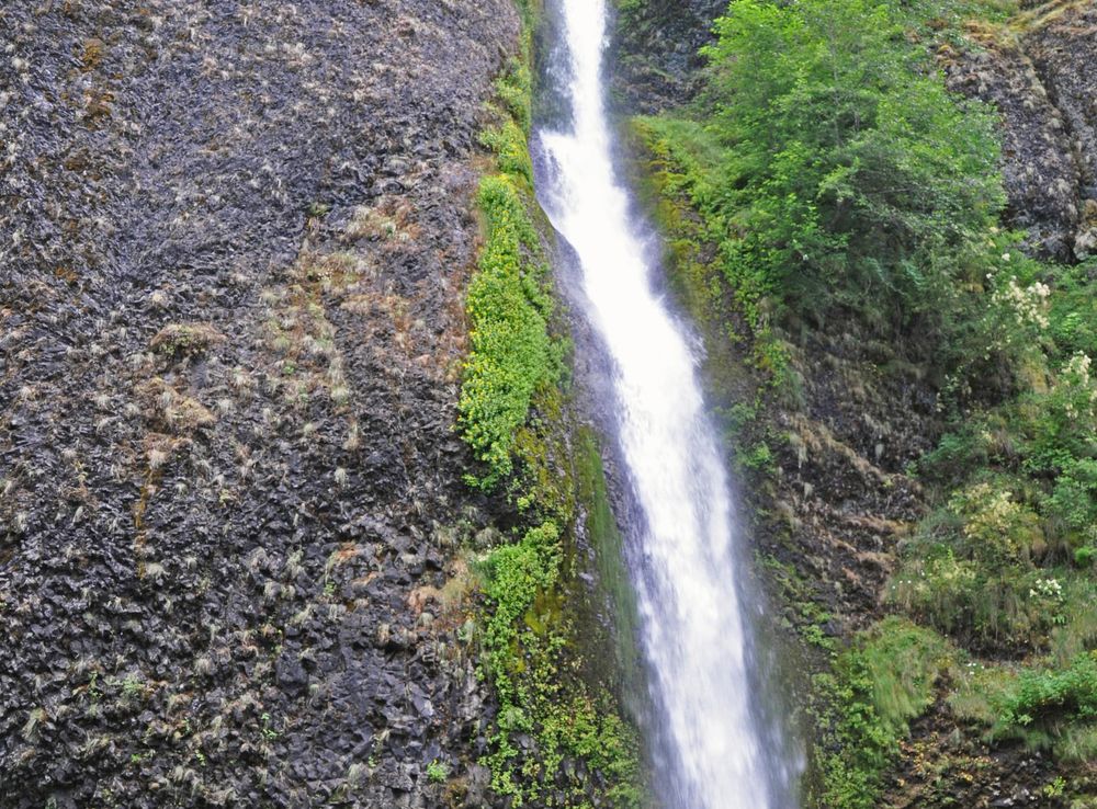 File:Horsetail Falls (Multnomah County, Oregon, USA) 7 (19840192970).jpg -  Wikimedia Commons
