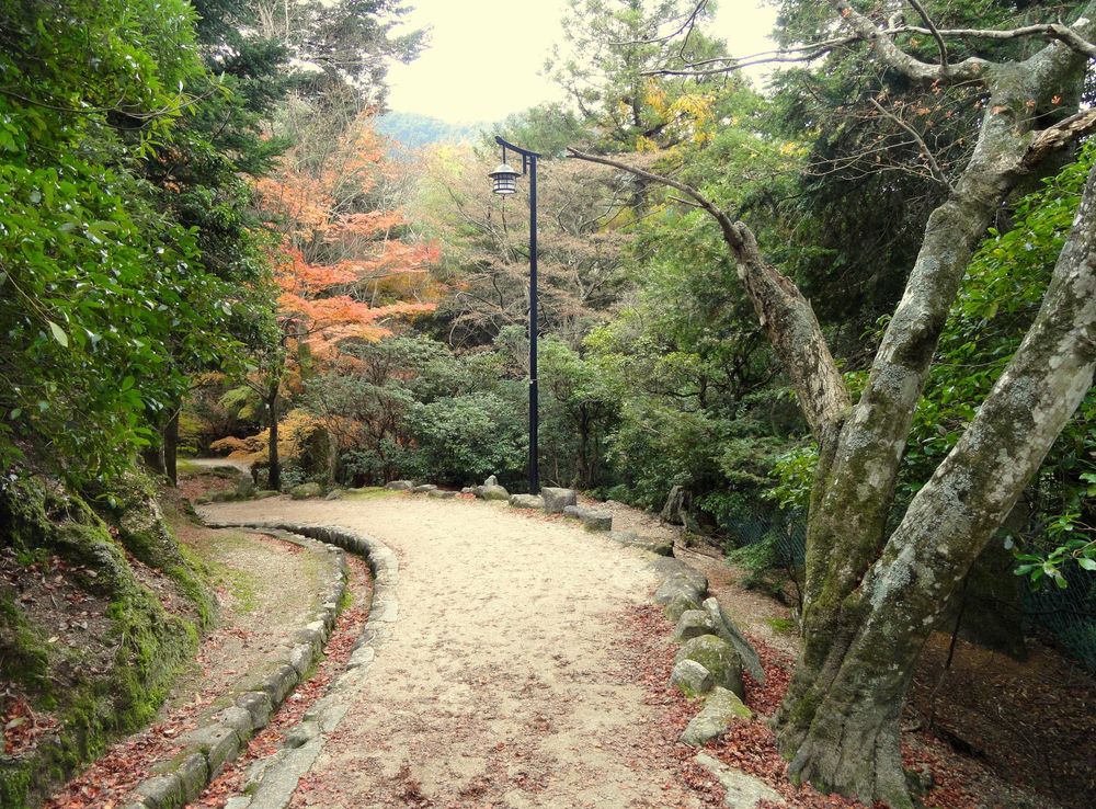 File:Momijidani Climbing Course (Mount Misen, Miyajima) - DSC01962.JPG -  Wikimedia Commons