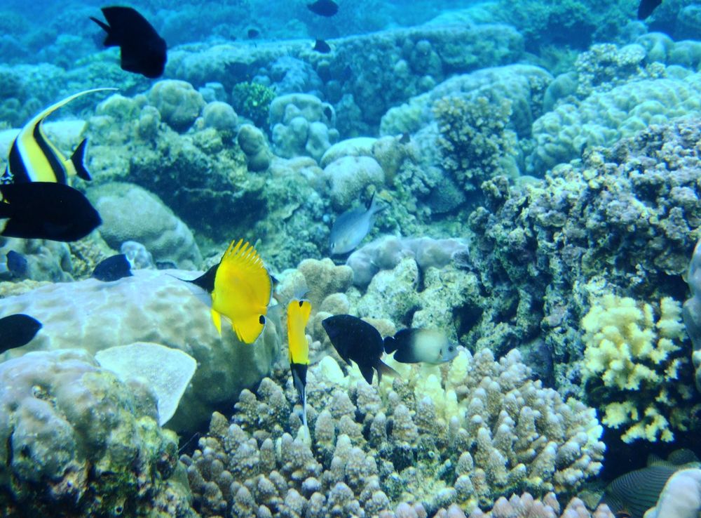 File:Bunaken Marine Park.JPG - Wikipedia