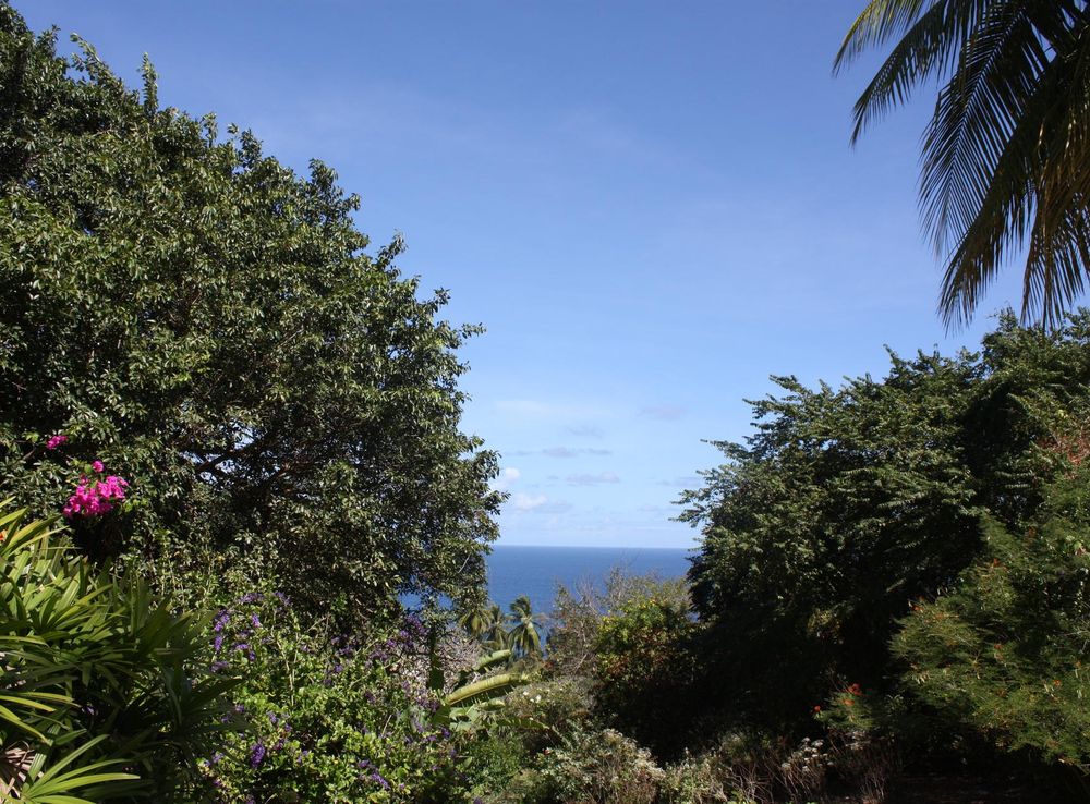 File:Andromeda Botanical Gardens 05.jpg - Wikimedia Commons