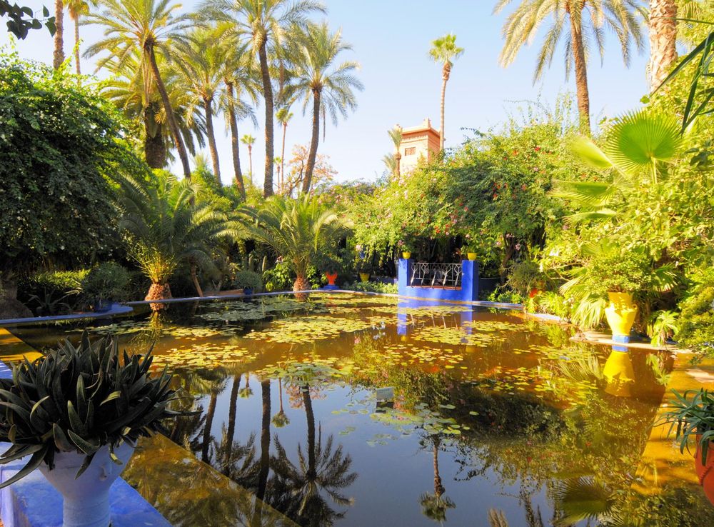 File:Le jardin des majorelle 40.JPG - Wikimedia Commons