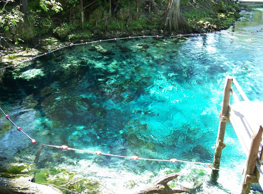File:Fanning Springs Park springs01.jpg - Wikimedia Commons