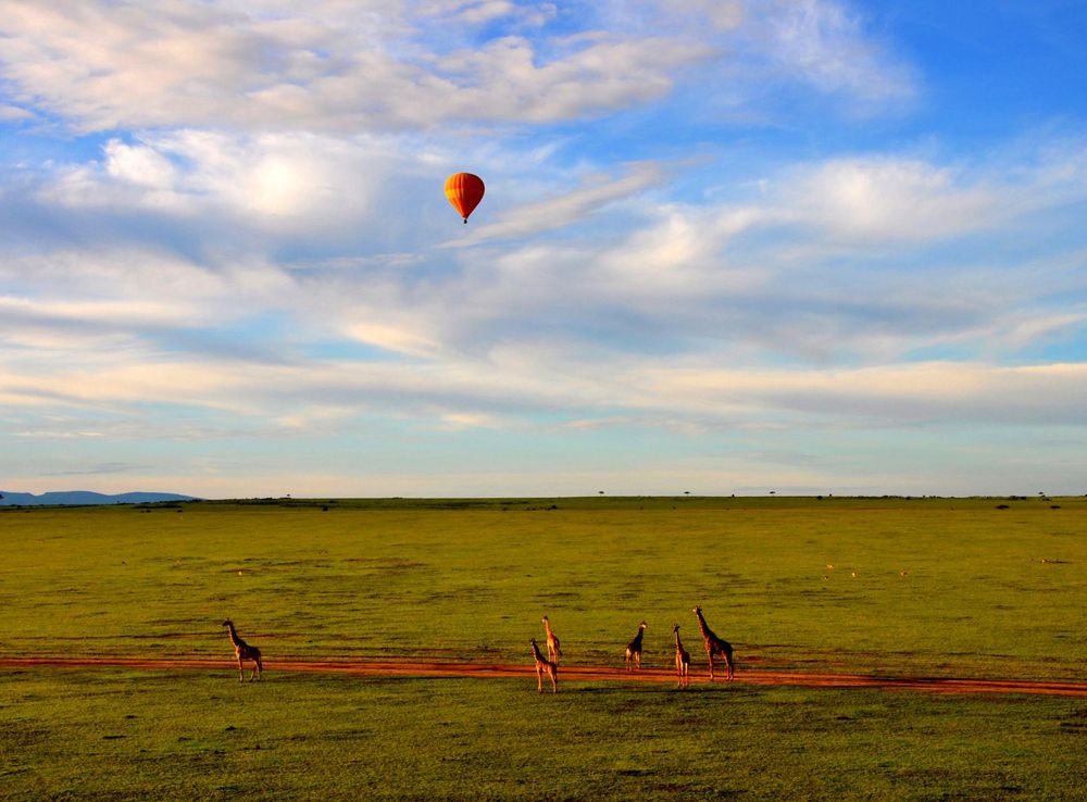 File:Hot Air Balloon Safari in Maasai Mara.jpg - Wikipedia