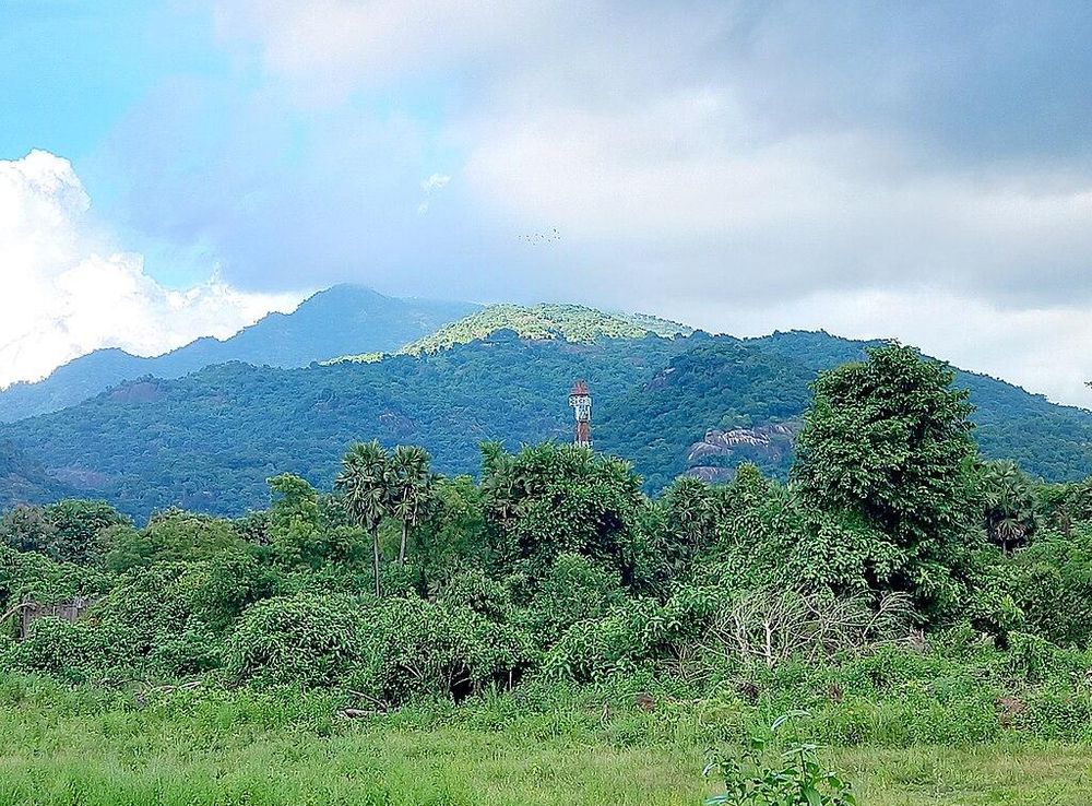 File:Araku Valley, Visakhapatnam.jpg - Wikipedia