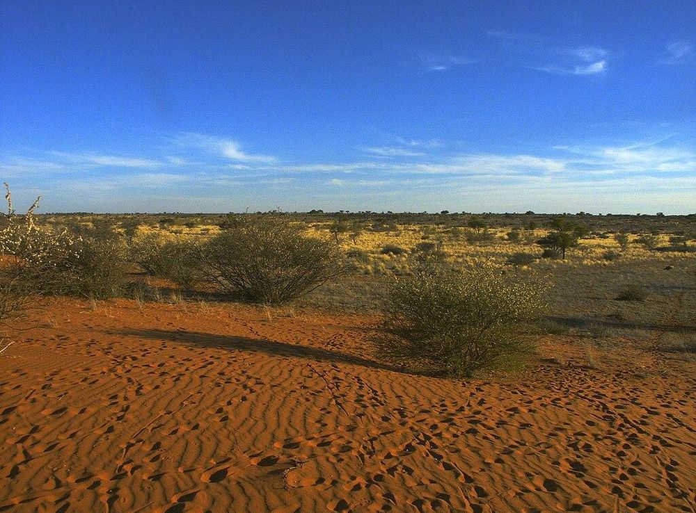 File:Kalahari PICT0036.JPG - Wikimedia Commons