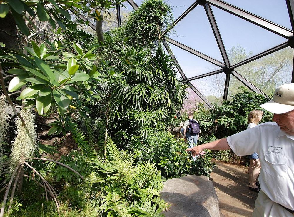 File:Butterfly zoo guide.JPG - Wikipedia
