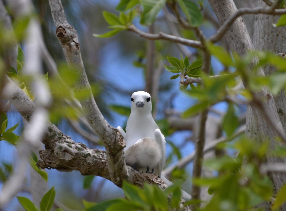 File:The Kasela Nature 2.jpg - Wikimedia Commons