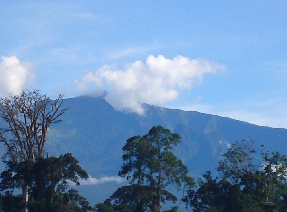 File:Pico Basilé.jpg - Wikimedia Commons