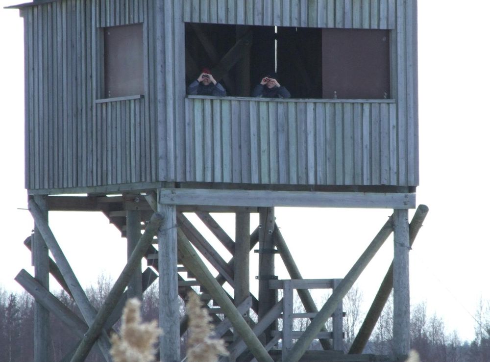 File:Birdwatchers Liminka Bay 2006 04 14.JPG - Wikimedia Commons