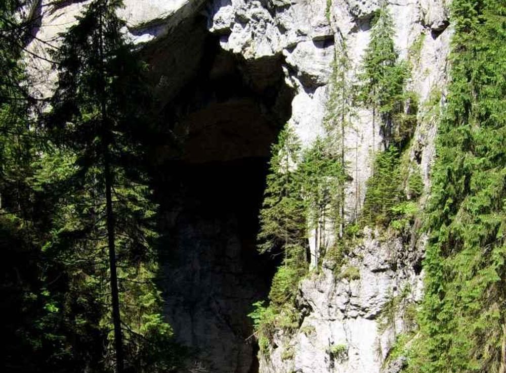 File:Padis, cave portal.JPG - Wikimedia Commons