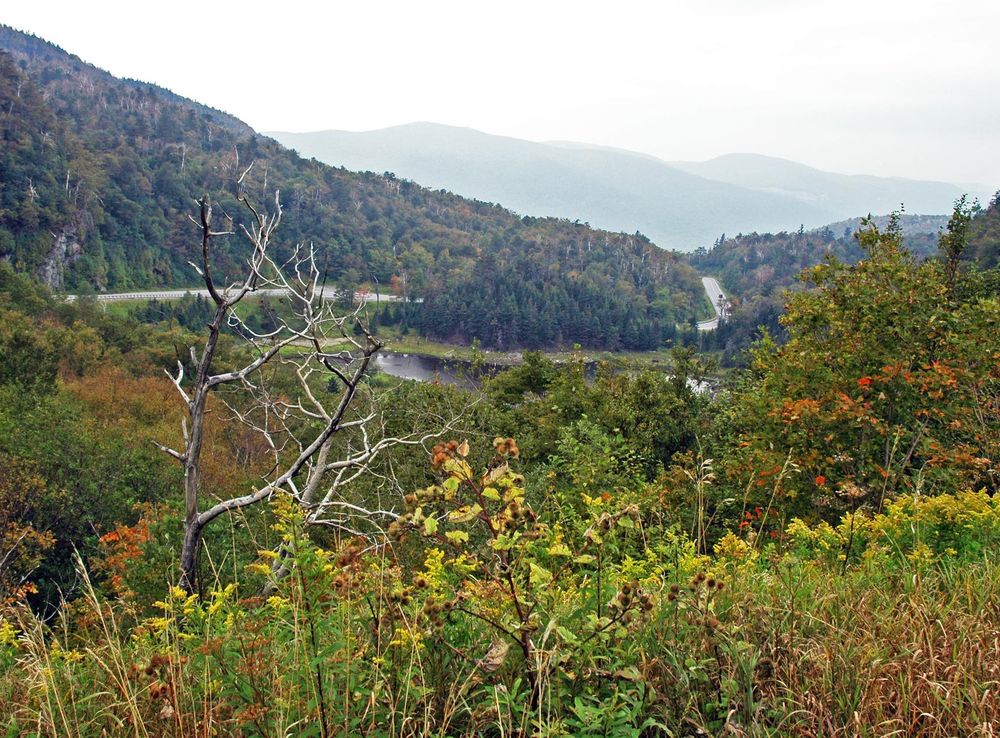File:Appalachian Gap (Green Mountains, Vermont, USA) 4.jpg - Wikimedia  Commons