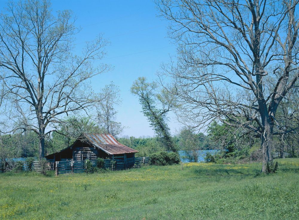 File:Log house in the Cane River Creole National Historical Park.jpg -  Wikimedia Commons