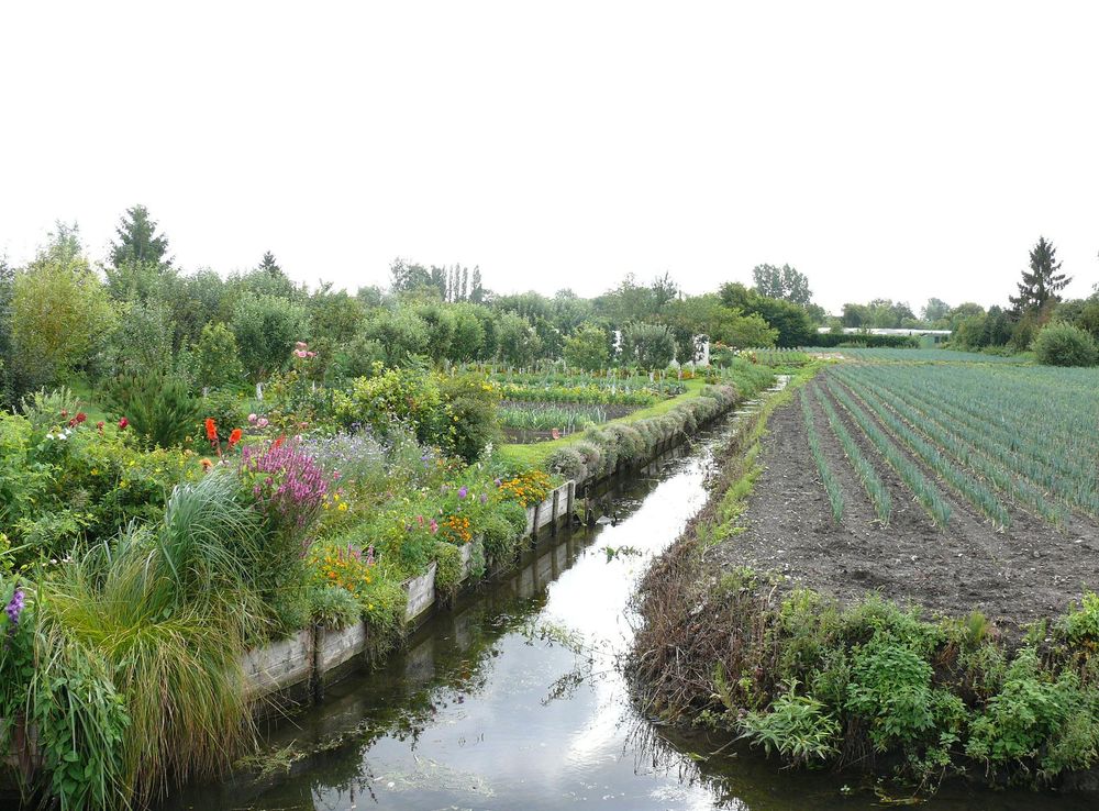 Fichier:Hortillonnages d'Amiens.JPG — Wikipédia
