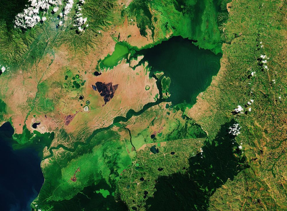 File:Lake George, Uganda ESA21819983.jpeg - Wikimedia Commons