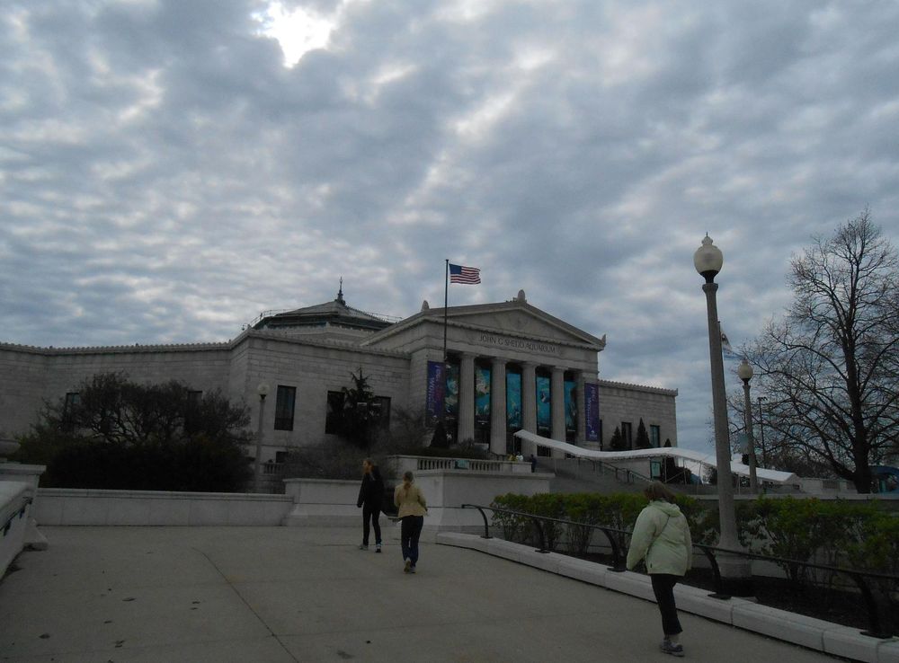 File:Shedd Aquarium Exterior May 2014 Chicago Illinois.jpg - Wikimedia  Commons