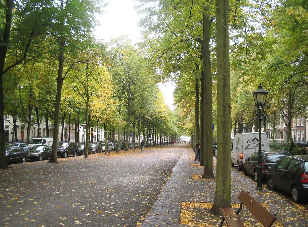 File:Lange voorhout.jpg - Wikimedia Commons