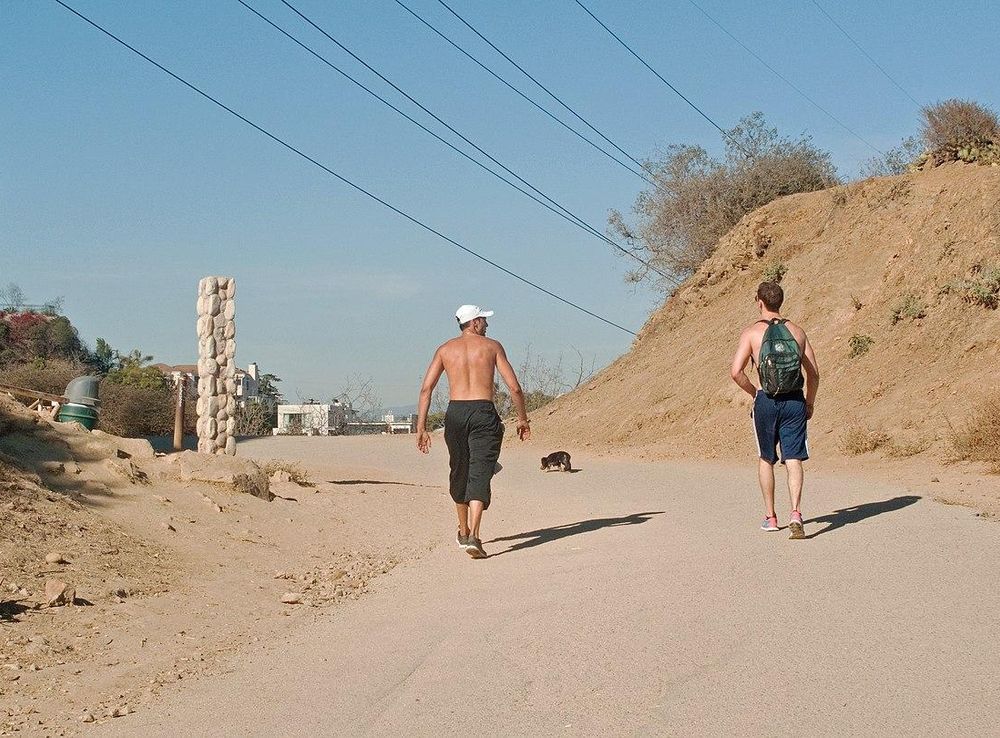 File:Runyon Canyon top of the hike.jpg - Wikimedia Commons