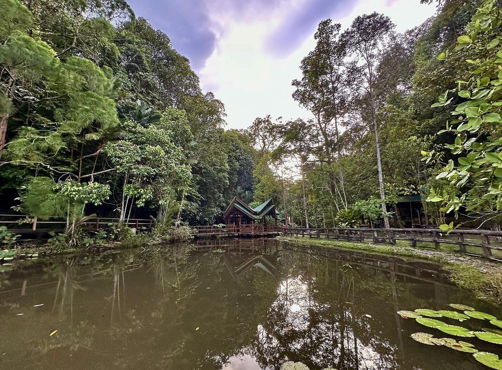 File:Sungai Liang Forest Recreation Park 02.jpg - Wikipedia
