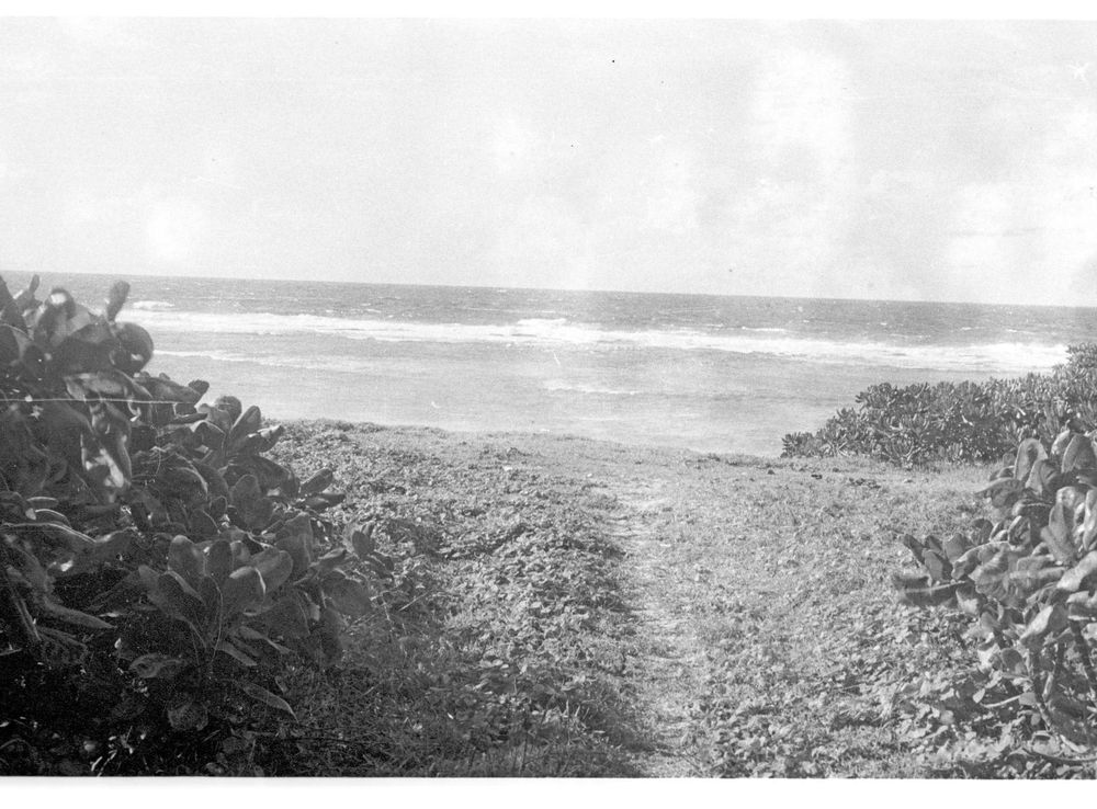 File:Hala Vaipoa coming out at Liku (Niuatoputapu).jpg - Wikimedia Commons