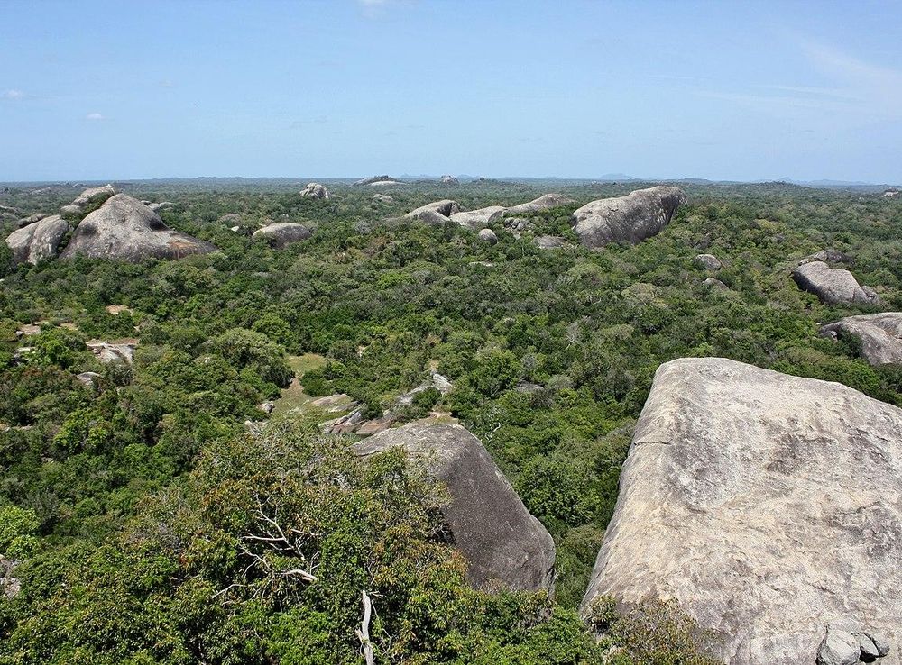 File:Kumana National Park (Kudumbigala Sanctuary).JPG - Wikimedia Commons