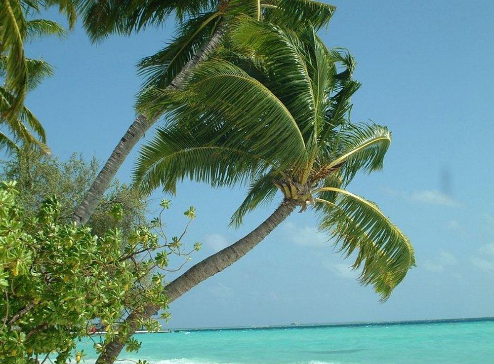 Long Bay Beach, Turks and | Free Photo - rawpixel