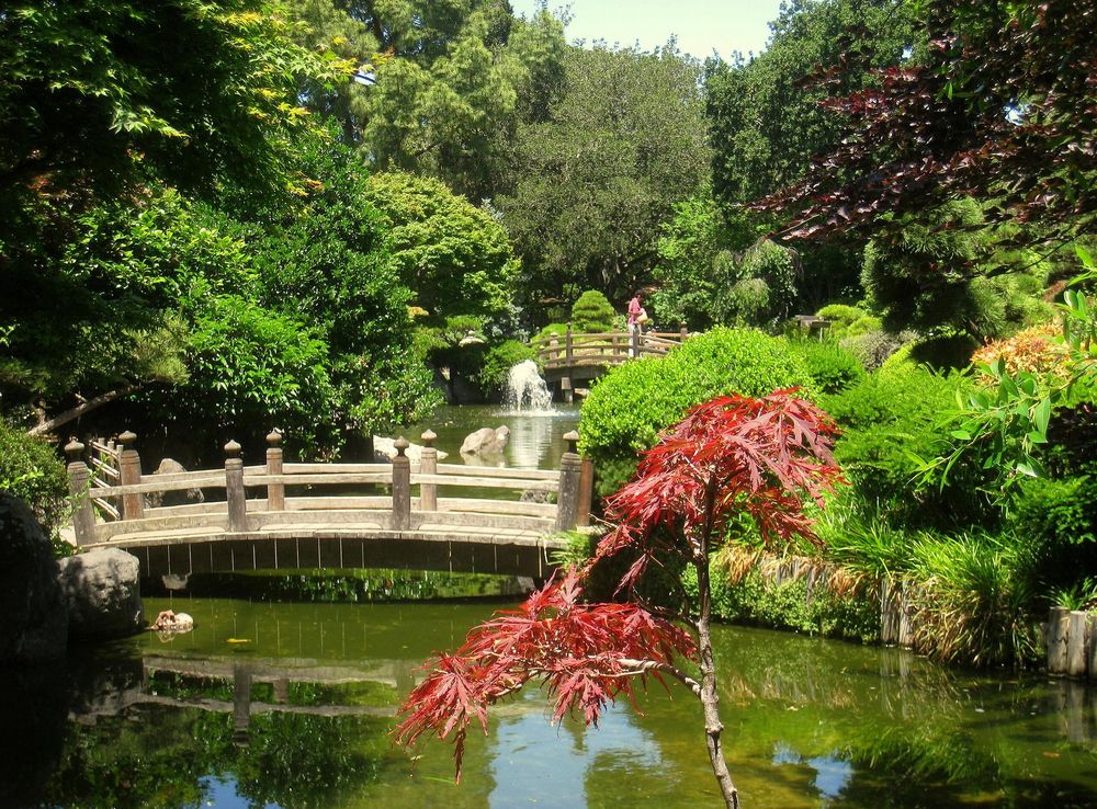 File:Japanese Tea Garden, San Mateo, CA - IMG 9112.JPG - Wikimedia Commons