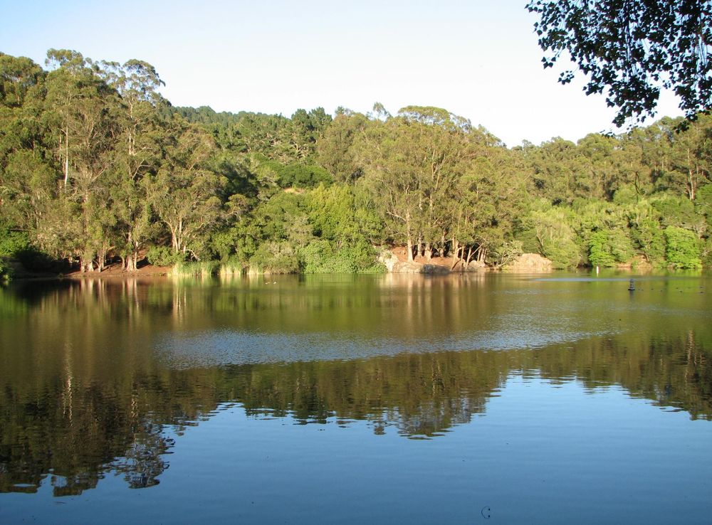 File:View across Lake Anza, Tilden Park, Berkeley, California 1.JPG -  Wikimedia Commons