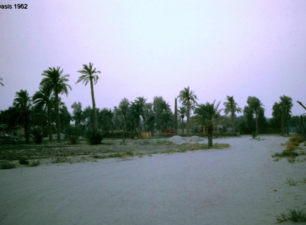 File:Jahra Oasis 1960s.jpg - Wikipedia