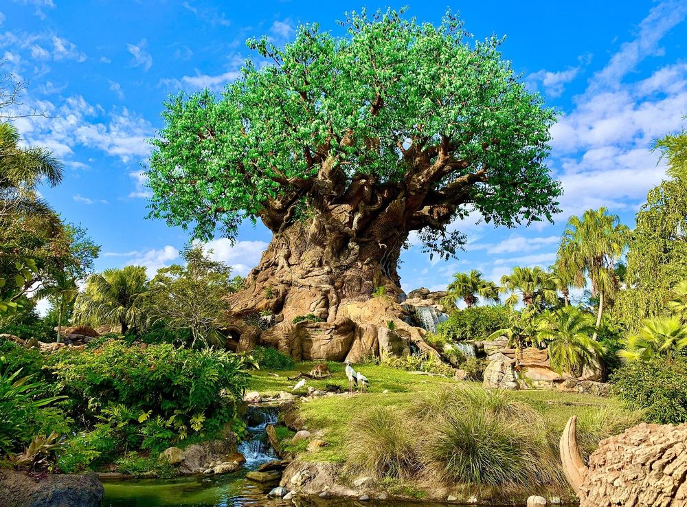 File:Tree of Life, Disney's Animal Kingdom.jpg - Wikipedia
