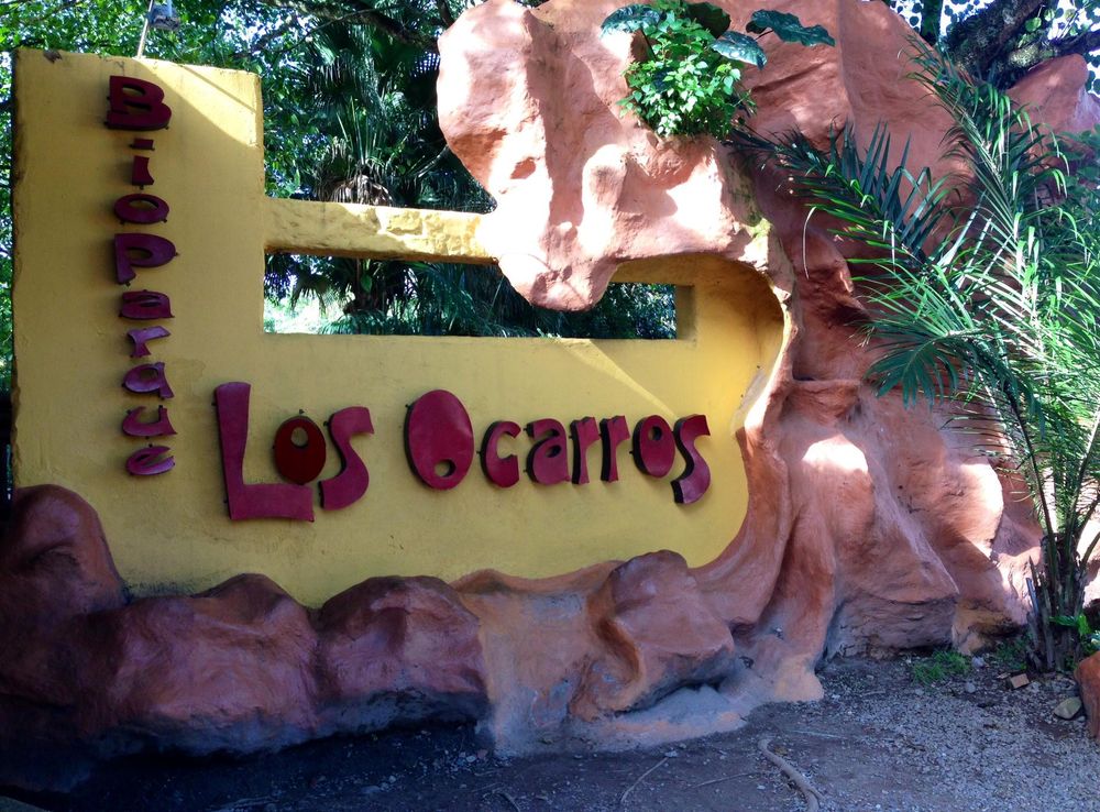 Archivo:Bioparque Los Ocarros.JPG - Wikipedia, la enciclopedia libre