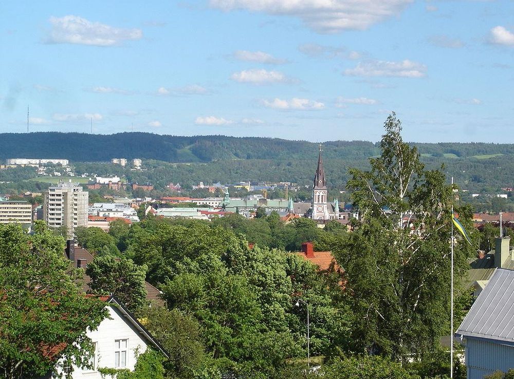 File:Naturjkpg.JPG - Wikimedia Commons