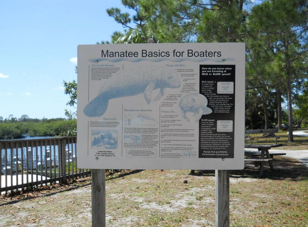 File:Jonathan Dickinson State Park 014.JPG - Wikimedia Commons