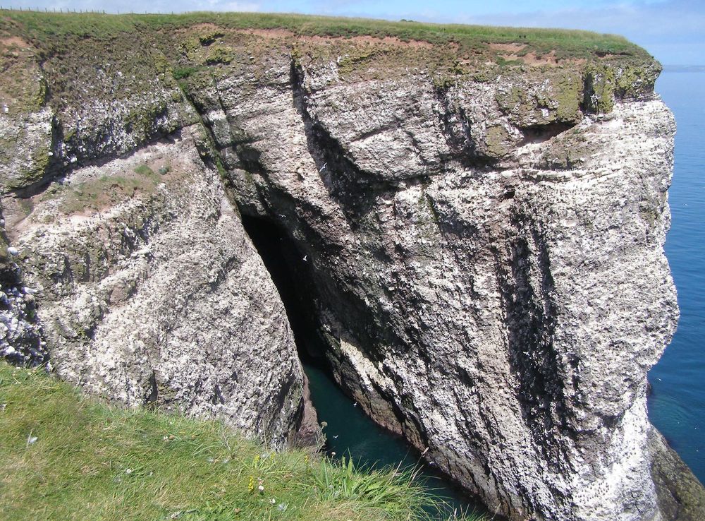 File:Fowlsheughclifftonorthsea.JPG - Wikimedia Commons