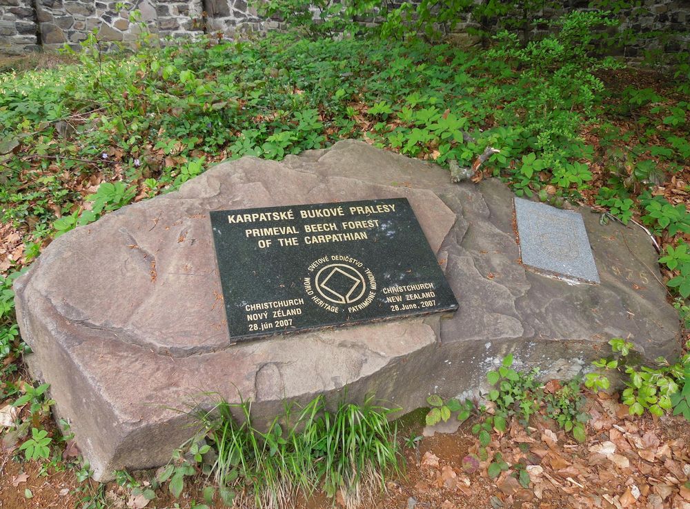 Národný park Poloniny – Wikipédia