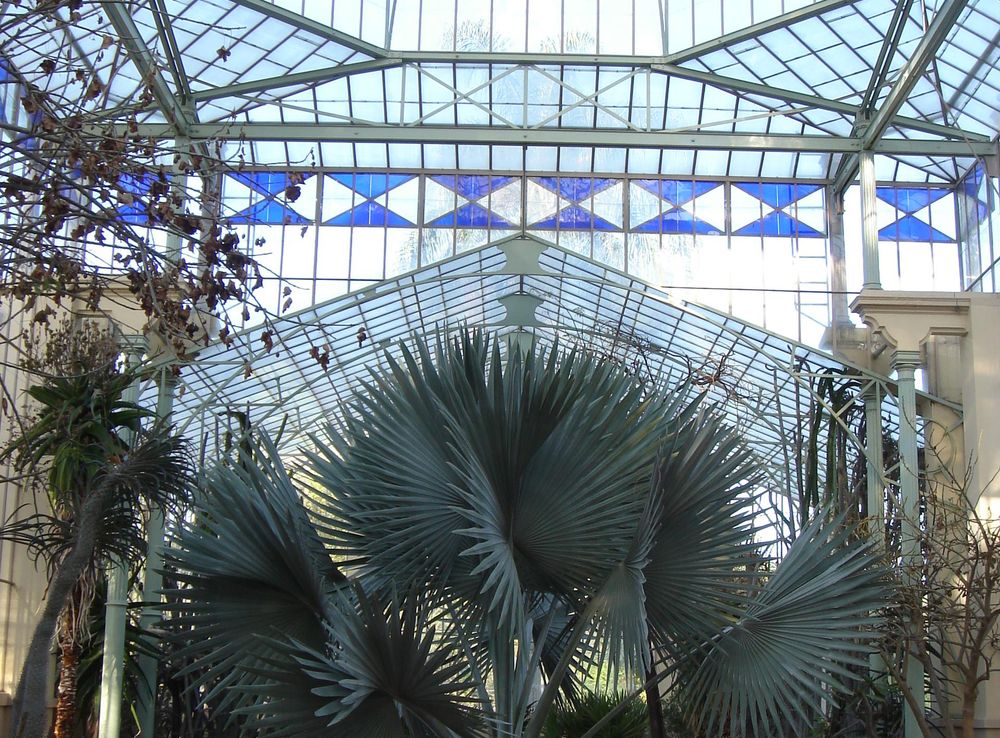File:Palm House - Botanic Gardens Adelaide.JPG - Wikimedia Commons
