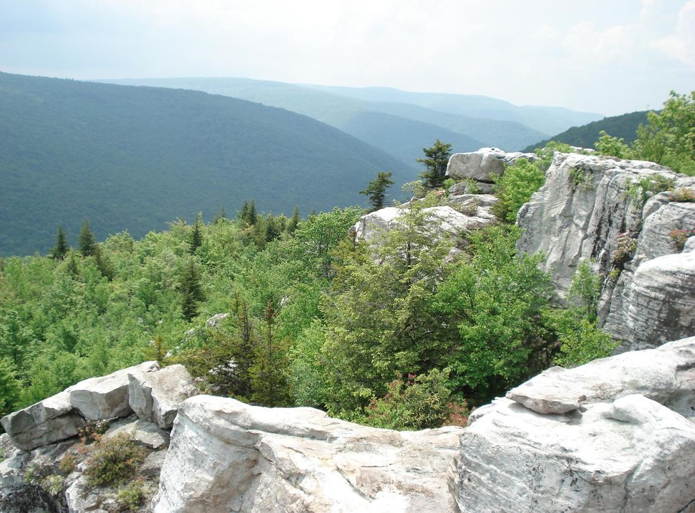 File:DollySods1.JPG - Wikimedia Commons
