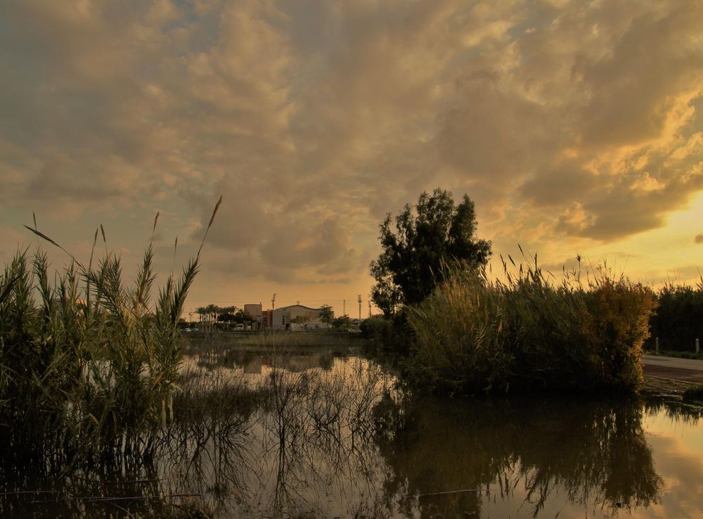 File:PikiWiki Israel 46806 Sunset Park Herzliya.JPG - Wikimedia Commons